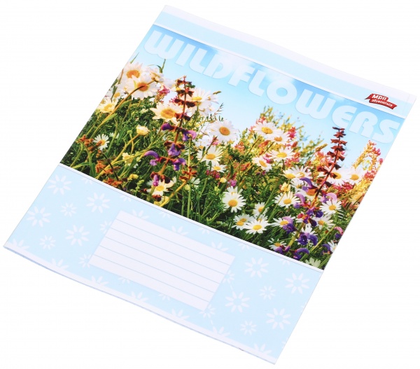 Тетрадь школьная 18 листов в клеточку в ассортименте Мечты сбываются