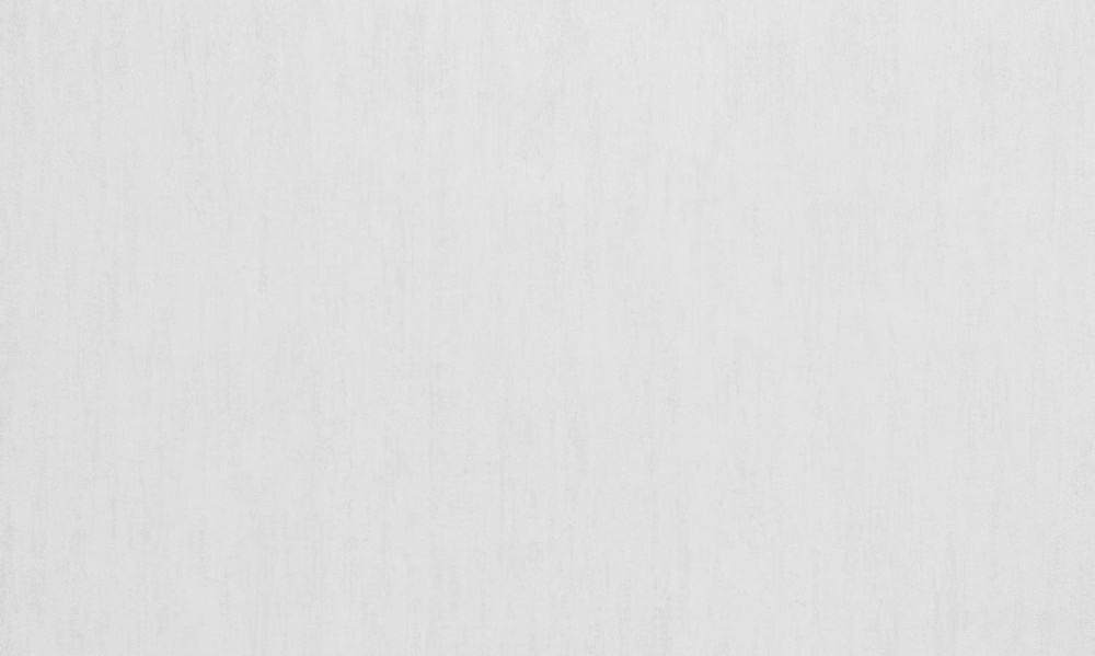 Шпалери вінілові на флізеліновій основі WallCOLOR W 152 C 00 1,06x10,05 м