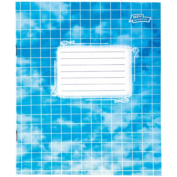 Тетрадь клетка Мечты сбываются эконом 12 листов