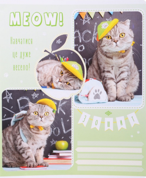 Тетрадь школьная Tadward коса