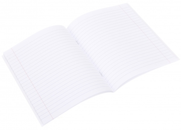 Тетрадь школьная Graffiti 24 листы линия Nota Bene