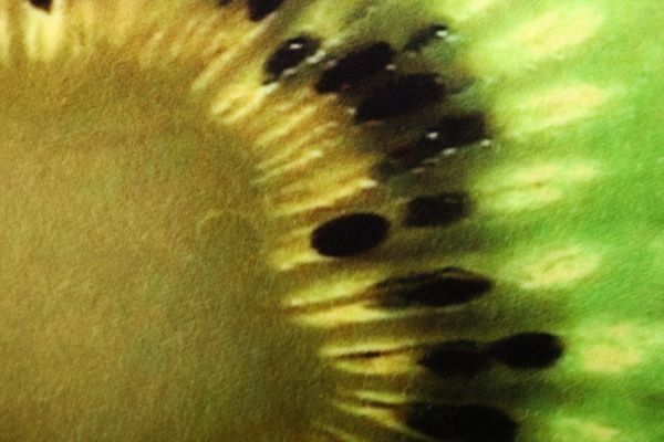 Подушка декоративна Пів-ківі 36x36 см зелений 