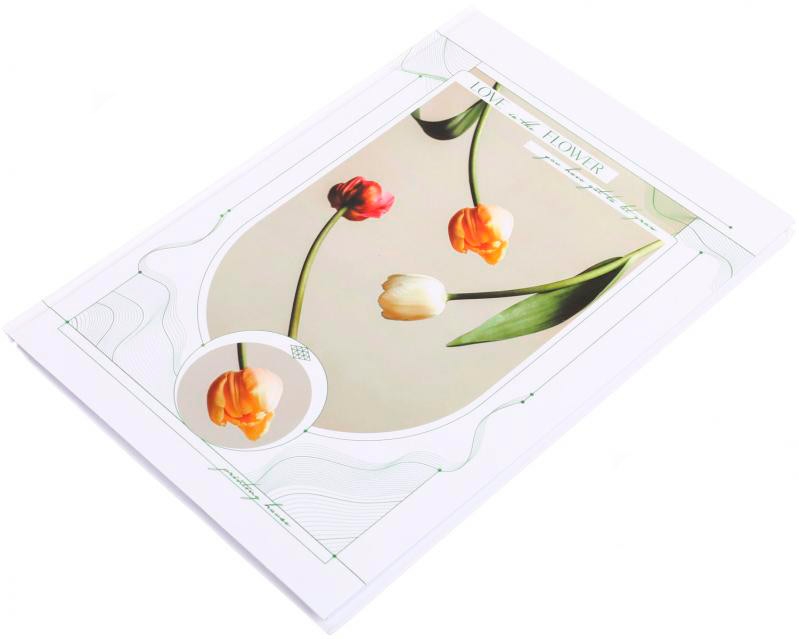 Блокнот А4 80 аркушів в асортименті Поділля