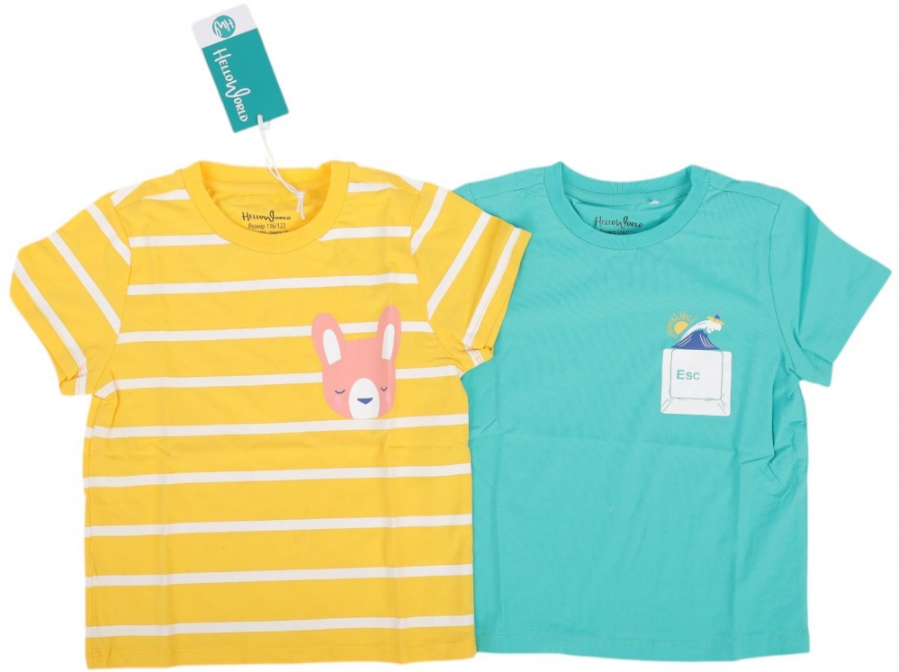 Футболка для хлопчиків HW 2 шт. р.104/110 різнокольоровий 53163_53164