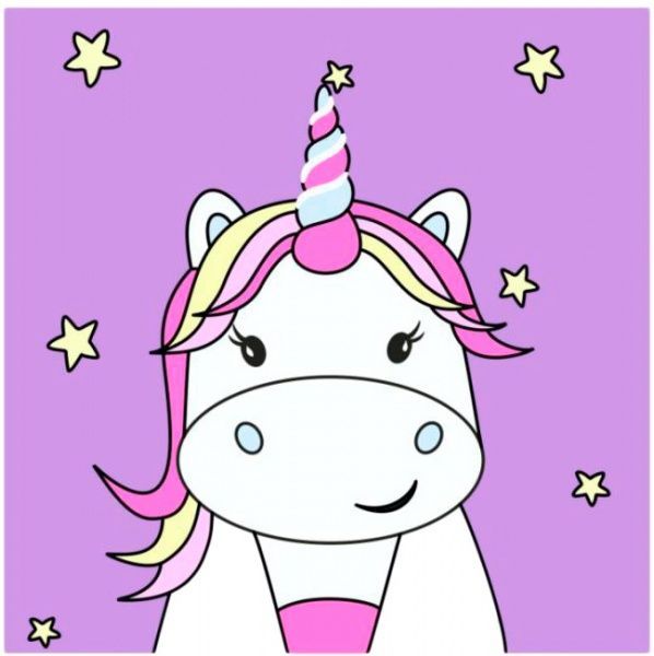 Набор раскраска по контурам Звездочка Rosa Kids 