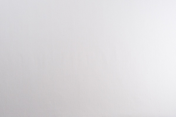 Обои виниловые на флизелиновой основе Vinil Атурина стена ДХН-1496/4 1,06x10,05 м 