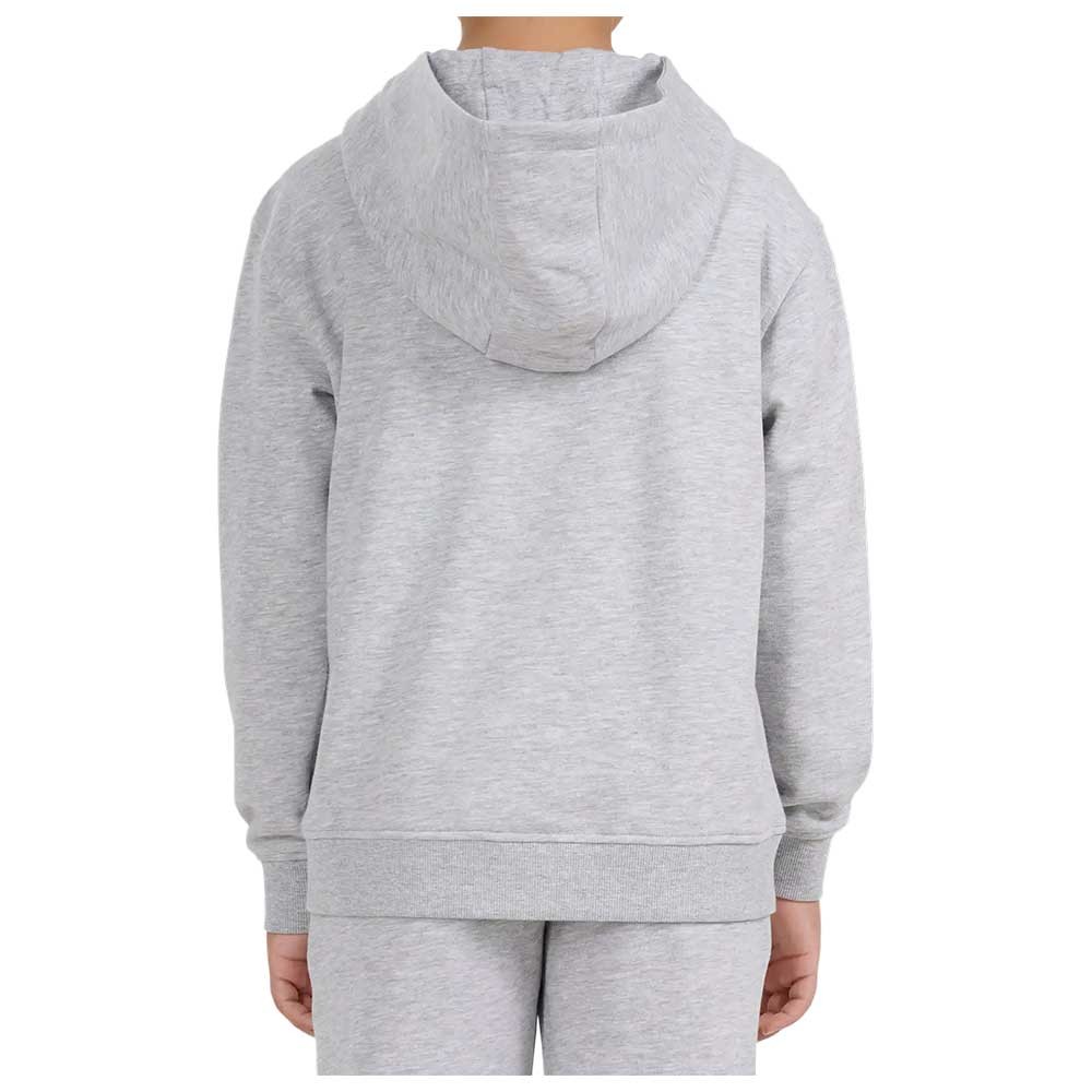 Джемпер 4F SWEATSHIRT F2522 4FJWMM00TSWSF2522-25M р.134 сірий