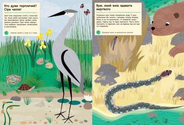 Книга «Моя книга природы: Река и пруд» 978-617-09-4098-8