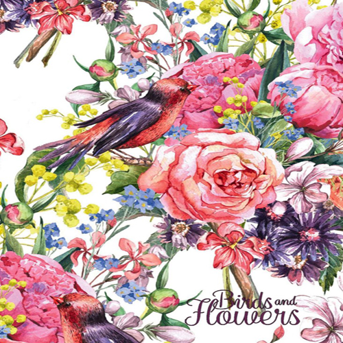 Блокнот Пташки та квіти 1В653 А6 48 аркушів Аркуш