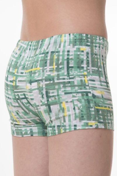 Труси для хлопчика KOSTA 0067-6 р.134 зелений 