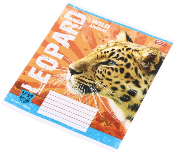 Тетрадь школьная 24 листа в линейку в ассортименте Мечты сбываются