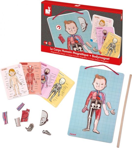 Игровой набор Janod Тело человека J05491