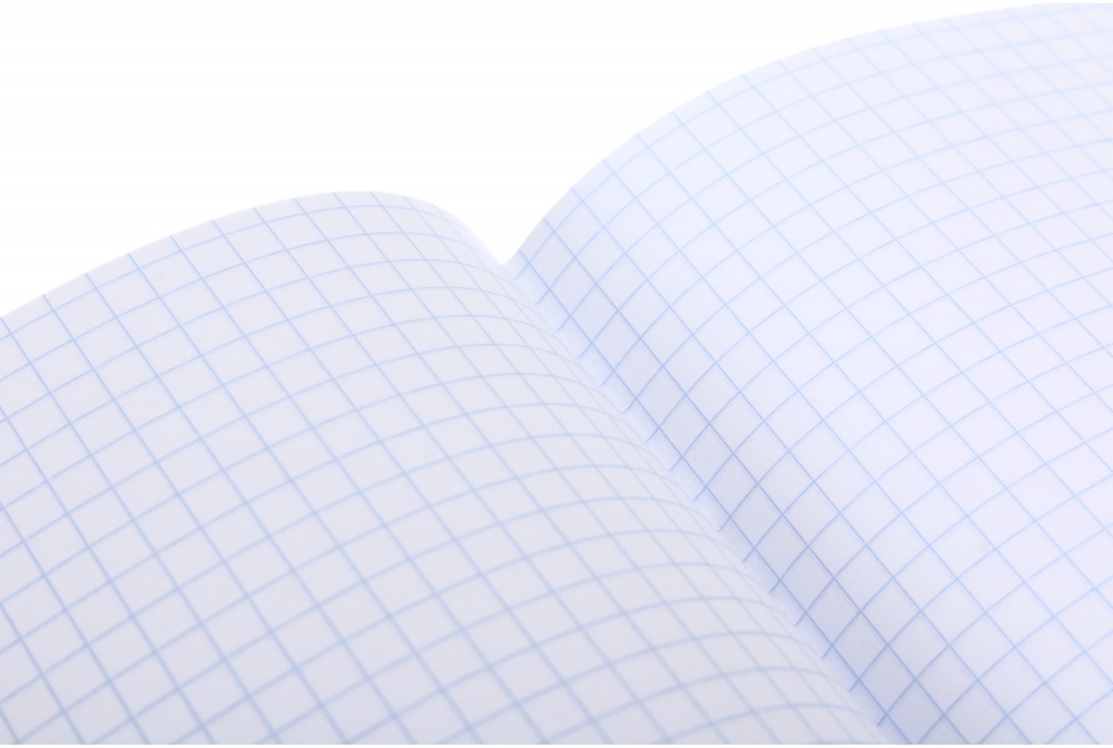 Тетрадь 18 листов в клеточку (2252547037010) Nota Bene