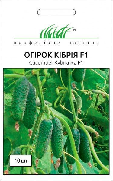 Семена Професійне насіння огурец самоопыляемый Кібрія F1 10 шт.