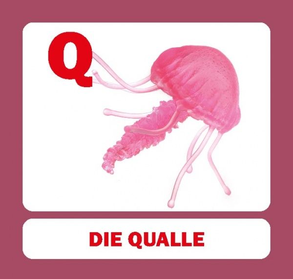 Книга «Навчальний посібник. Абетка німецька»