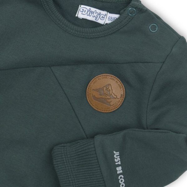 Светр Dirkje р.110 зелений D36671-35 