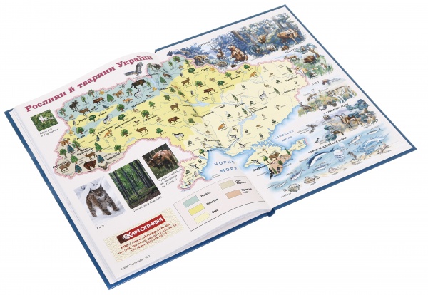 Дневник школьный в твердом переплете серия Kitten Nota Bene