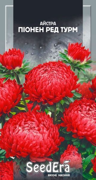 Насіння Seedera айстра Піонен ред турм 0,25 г