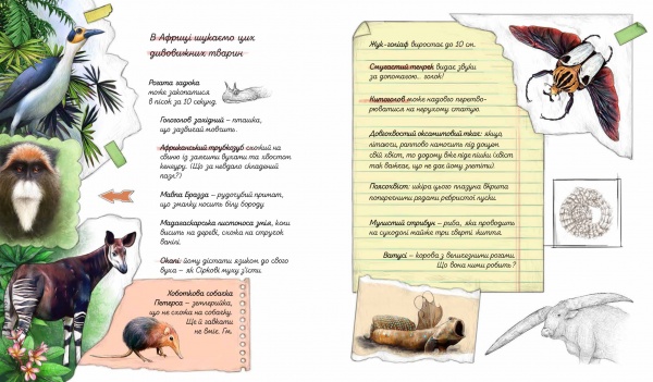 Книга Олена Шкаврон «Експедиція за дивовижними тваринами» 978-966-915-296-1