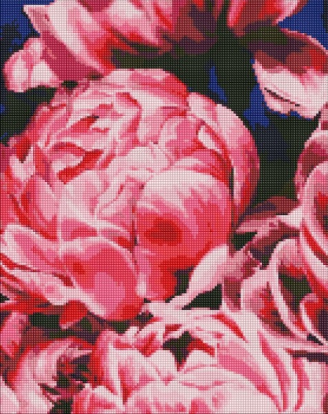 Алмазная мозаика Набор со стразами Идейка Бархатные пионы 40х50см Идейка 