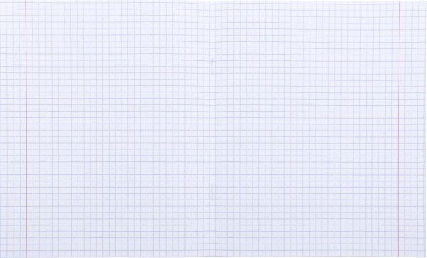 Комплект тетрадей 18 листов в клетку #ШКОЛА