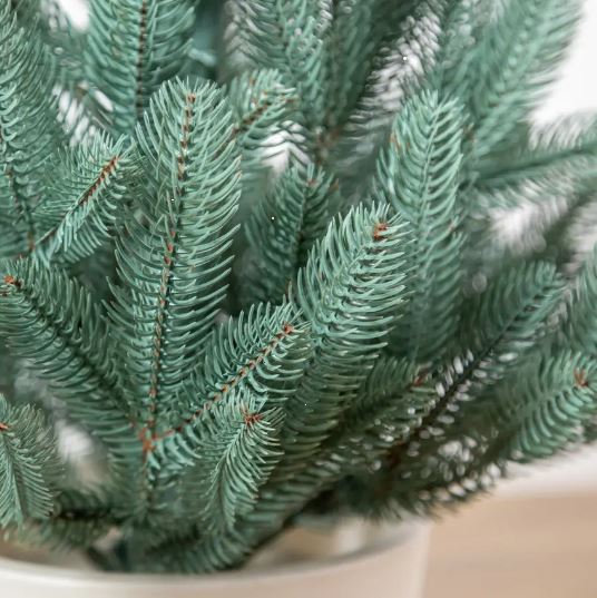 Штучна ялинка Лапландська в горщику 0,9 м блакитний