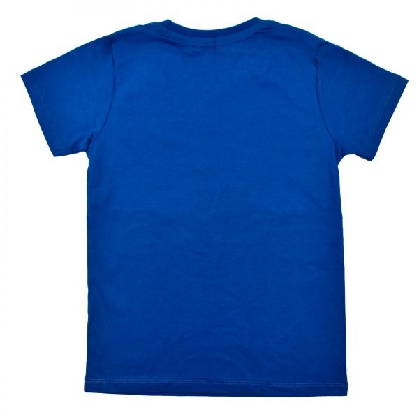 Футболка для хлопчика AKKUZU kids Oil Ray 9131 р.140 синій 