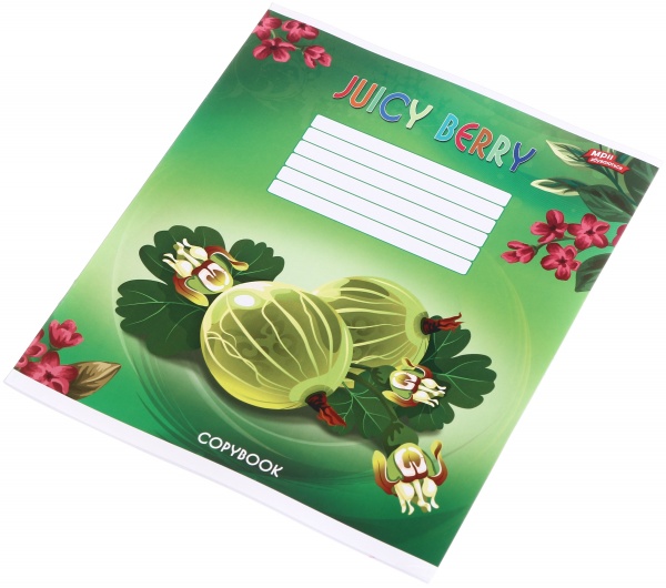 Тетрадь школьная 24 листа в линейку в ассортименте Мечты сбываются