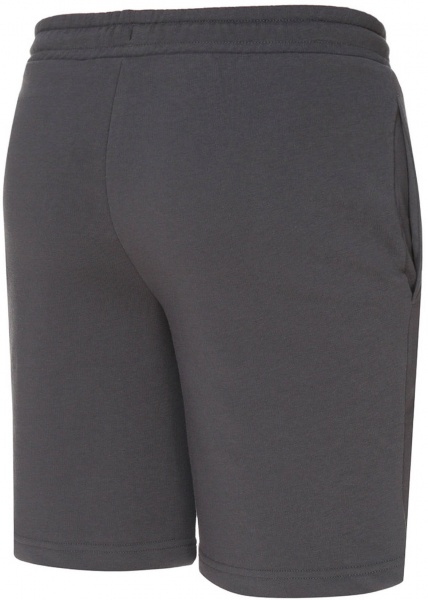 Шорты Puma Shorts 53741818 р. M черный