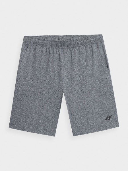 Шорти 4F 4FSS23TFSHM199-27M р. 2XL сірий
