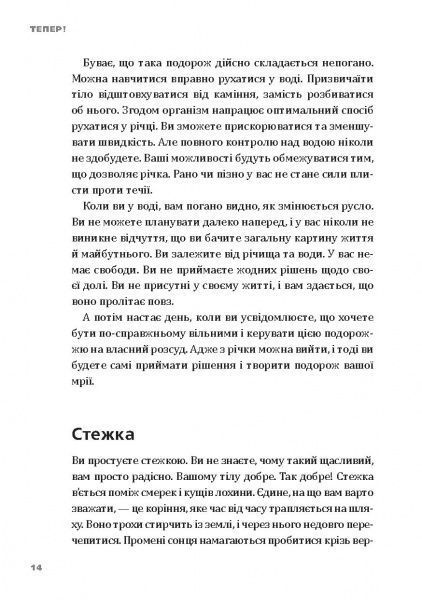 Книга Эрик Ларсон «Тепер! Лови мить – це твоє все» 978-966-2236-03-3