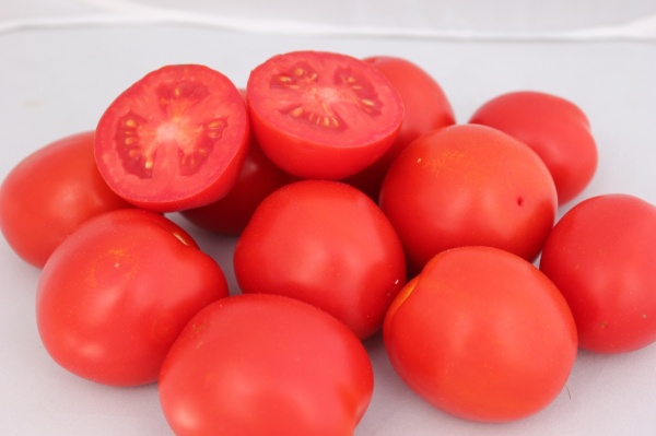 Семена Професійне насіння томат низкорослый Уно Россо F1 для маринования 10 шт. (4820176692900)