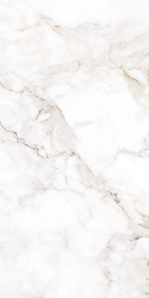 Плитка Allore Group Palazzo White F P R Satin 60x120 см