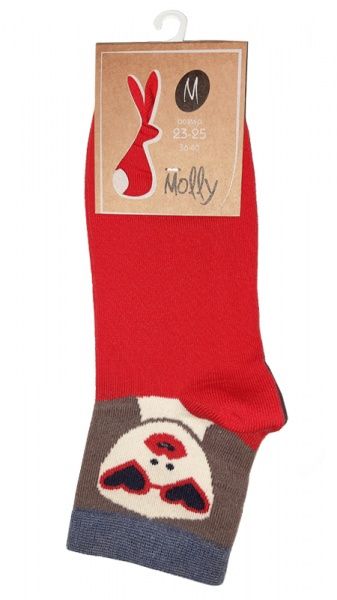 Носки Молли Девочка р. 23-25 красный 1 пар 