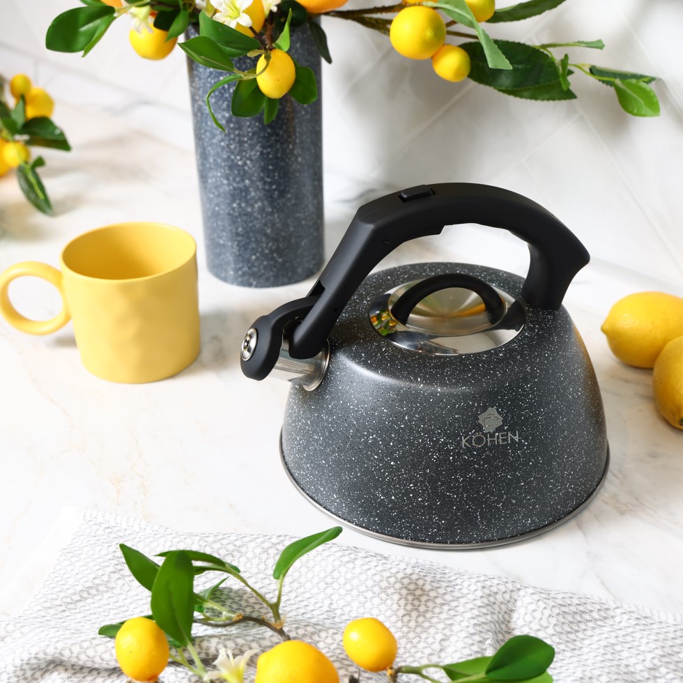 Чайник Kohen Rocky 3 л KN93002