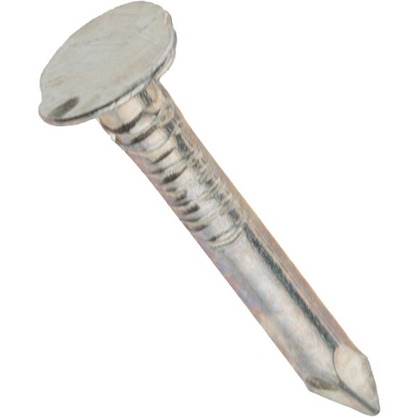 Гвозди кровельные  3,1x20 мм вес белый цинк EXPERT FIX