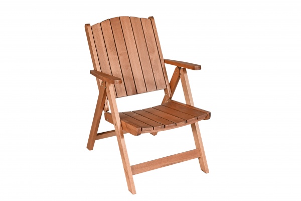 Кресло-шезлонг Трансформер 1302 42x58 см 