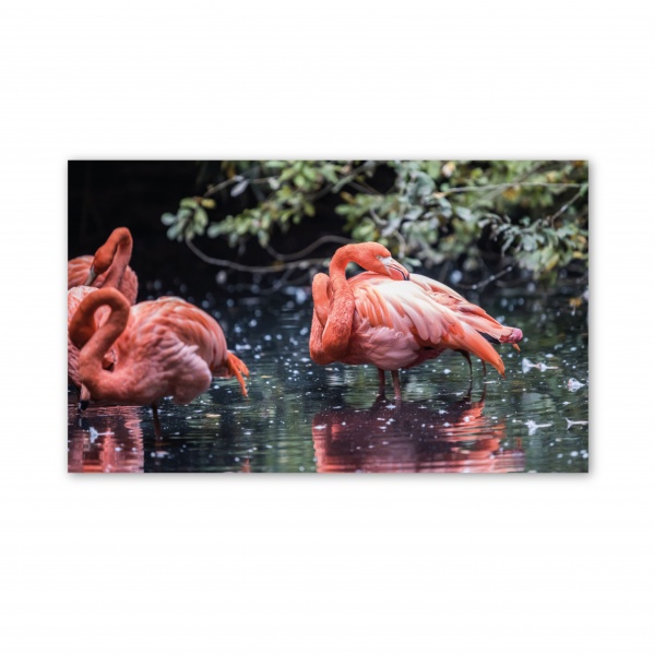 Картина Фламинго 300x500 см GIS UKRAINE 