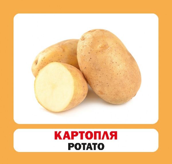 Книга «Навчальний посібник. Овочі. англ-укр»