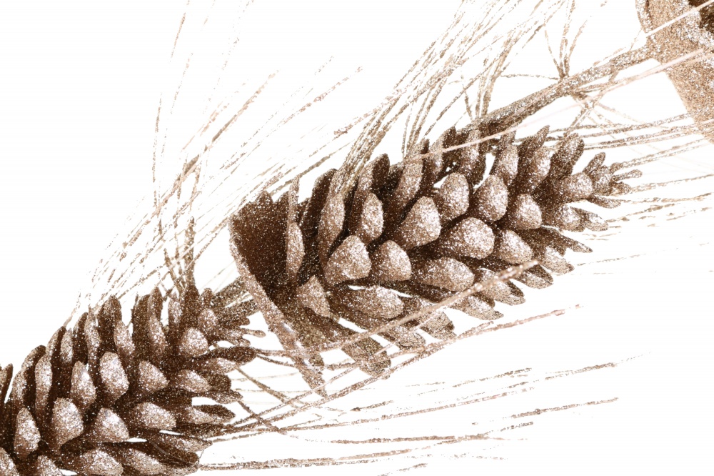 Декорація гілка із шишками і вусиками колір в асортименті 74 см EPI-EYK8-1347A