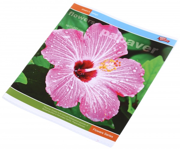 Тетрадь школьная уф-лак 48 листов в клеточку в ассортименте Мечты сбываются