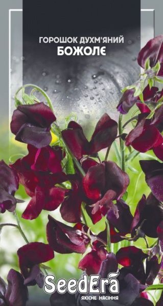 Семена Seedera горошек душистый Божолье 1г (4823073723883)