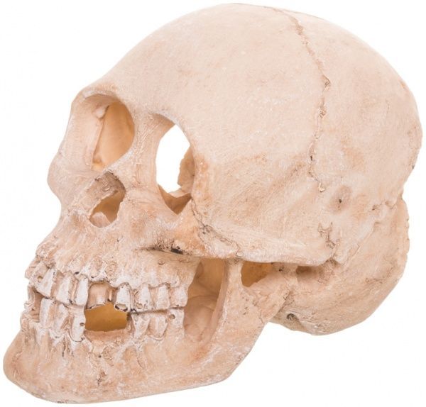 Декорація TRIXIE Череп 15 см 8713