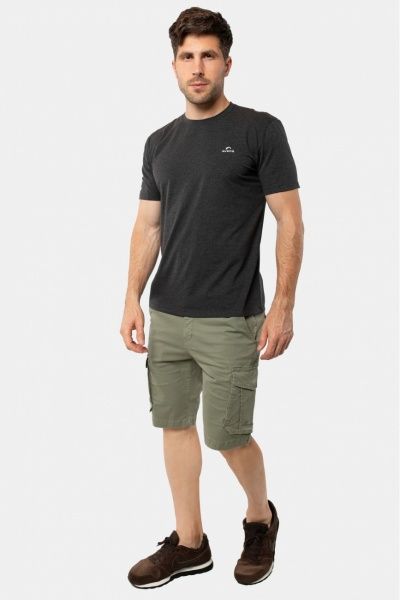 Шорты Avecs AV-30352/15 р. 48 светло-серый