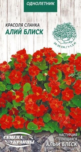 Насіння Семена Украины красоля сланка Червоний блиск 794100 1 г