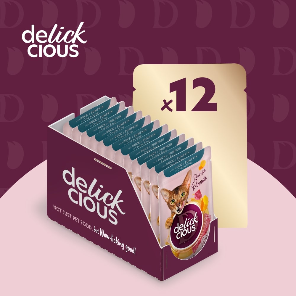 Корм влажный DELICKCIOUS Полоски с уткой и тыквой в крем-супе 85 г