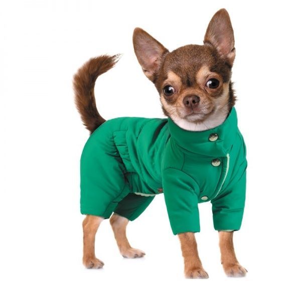 Комбинезон Pet Fashion для собак Цитрус XS