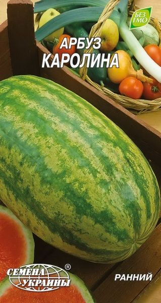 Семена Семена Украины арбуз Каролина 1г