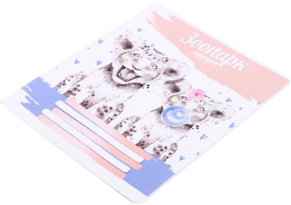 Тетрадь школьная Tadward коса