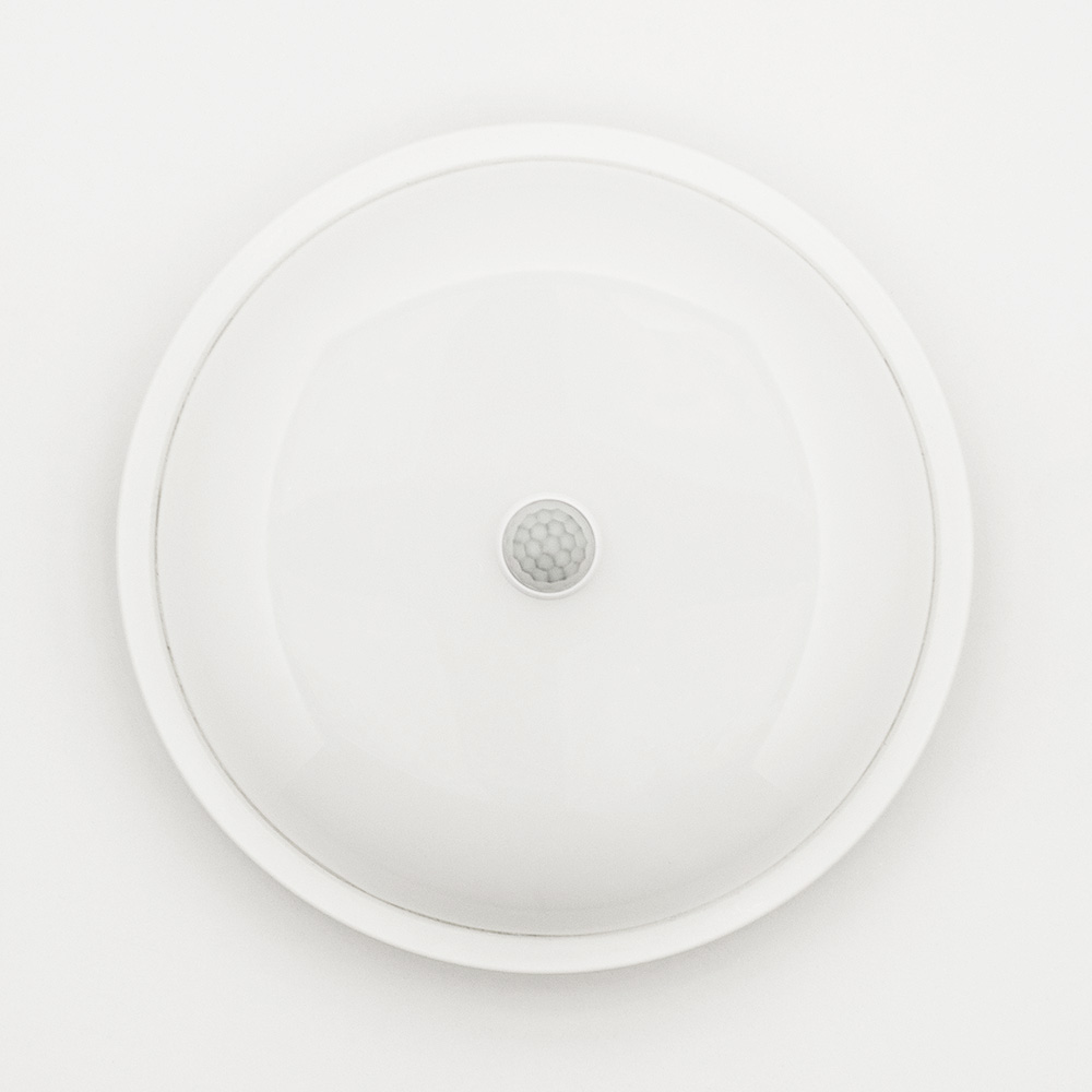 Luminaria білий 5000 К SL-20W 5000K